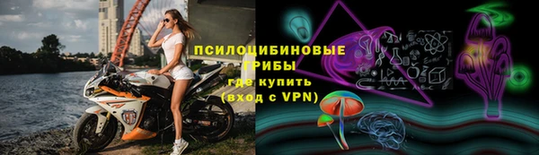 mdpv Горно-Алтайск