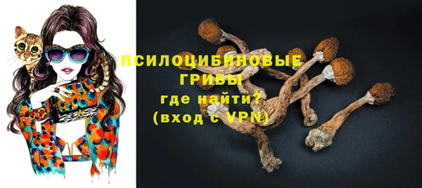 герыч Горнозаводск