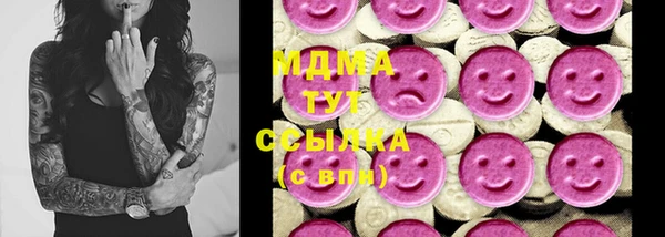 mdpv Горно-Алтайск