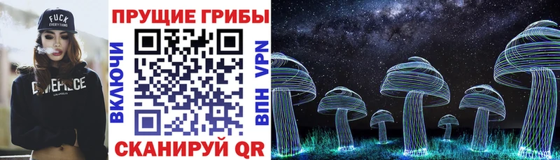 Купить  Кудрово  Псилоцибиновые грибы Cubensis 